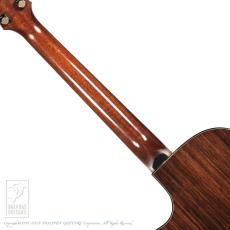 Yokoyama Guitars AR-1_6