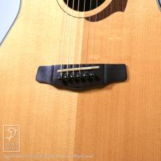 Yokoyama Guitars AR-1_11