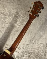 Ibanez 【NEW】Artcore Expressionist AG95MG DA Dark Amber sn PW26060339 [2.78kg]【G-CLUB TOKYO】_8