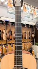 Martin DJRE #2998409 【オール単板】【エレアコ】_6