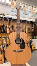 Martin GP-X2E ZIR Special #2961082【エレアコ】_2