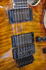 E-II HORIZON FR-II Tiger Eye Sunburst_3