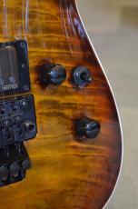 E-II HORIZON FR-II Tiger Eye Sunburst_4