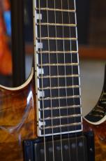 E-II HORIZON FR-II Tiger Eye Sunburst_5