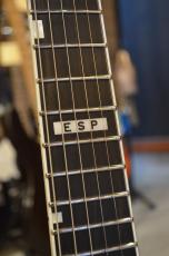 E-II HORIZON FR-II Tiger Eye Sunburst_6