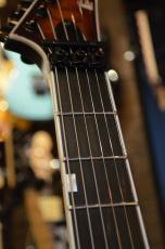 E-II HORIZON FR-II Tiger Eye Sunburst_7