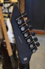 E-II HORIZON FR-II Tiger Eye Sunburst_9