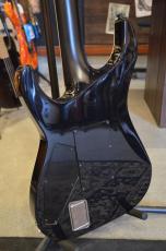 E-II HORIZON FR-II Tiger Eye Sunburst_12