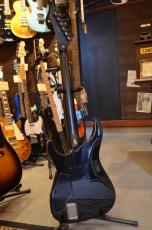 E-II HORIZON FR-II Tiger Eye Sunburst_13