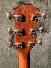 Taylor 【Japan Limited】Builders Edition 814ce Next Generation -Sakura Shaded Edge Burst- #1206176056_5