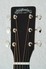 Stafford SF-3D  -Brown Sunburst- 【数量限定アクセサリーセット付!】【初心者にオススメ!】_7