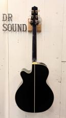 Takamine DMP552C DBS / Contact PU 【無金利分割OK】_4
