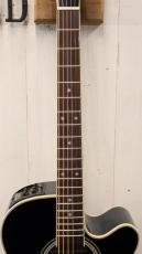Takamine DMP552C DBS / Contact PU 【無金利分割OK】_6