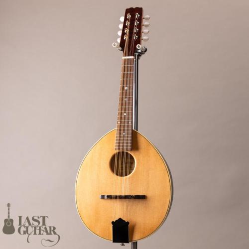 Lasting Army Navy Mandolin