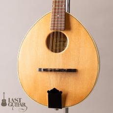 Lasting Army Navy Mandolin_2