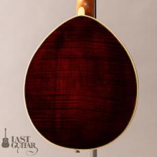 Lasting Army Navy Mandolin_8