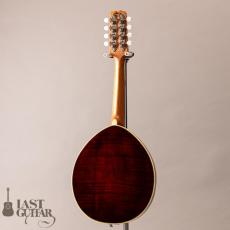 Lasting Army Navy Mandolin_11