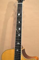 Eastman AC622CE　2024年製_6