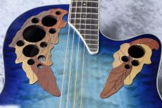 Ovation CE48P-RG-G_8
