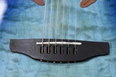 Ovation CE48P-RG-G_9