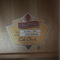 Cole Clark CCFL1EC-BM_9