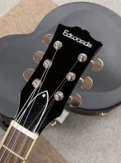 Edwards E-SA-STD_4