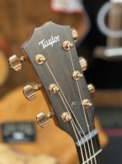Taylor 【当店カスタムオーダー品】CTM 324ce  All Mahogany_7
