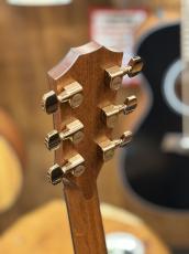 Taylor 【当店カスタムオーダー品】CTM 324ce  All Mahogany_8