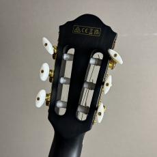 Ibanez FRH20FMN -DGL (Deep Forest Green Low Gloss)【島村楽器限定】【現物画像】【最大36回分割無金利 実施中】_8