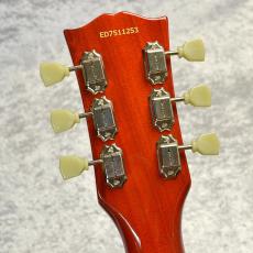Edwards E-LP-STD 【Vintage Honey Burst】_10
