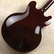 Epiphone Noel Gallagher Riviera_7