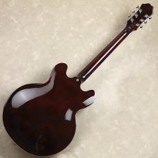 Epiphone Noel Gallagher Riviera_8