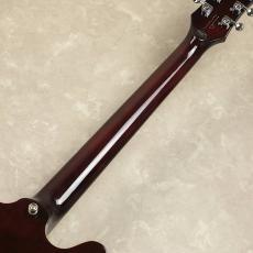 Epiphone Noel Gallagher Riviera_9