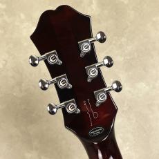 Epiphone Noel Gallagher Riviera_10