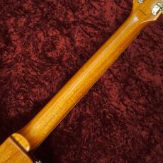 Tokai LS-101S GT_7