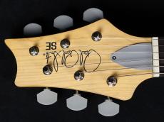 Paul Reed Smith [PRS] SE Silver Sky Laurel Green 2025_5