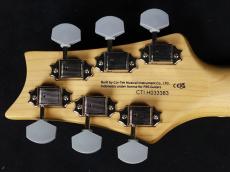 Paul Reed Smith [PRS] SE Silver Sky Derby Red 2025_9