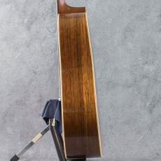Martin D-28 Jacaranda 1965_5