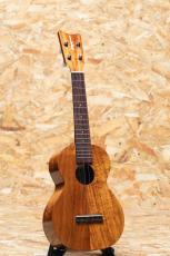 Kamaka HF-2 Concert 2017_3