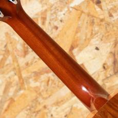 Kamaka HF-2 Concert 2017_7