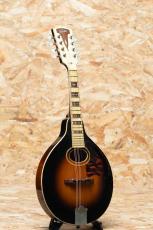 Gibson A-Century Century of Progress Mandolin 1930's_3