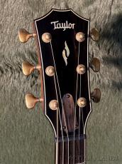 Taylor 【2024 USED】50th Anniversary Builders Edition 814ce LTD【48回迄金利0%対象】【送料当社負担】_4