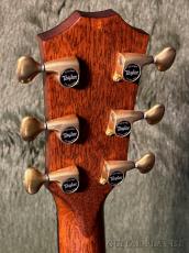 Taylor 【2024 USED】50th Anniversary Builders Edition 814ce LTD【48回迄金利0%対象】【送料当社負担】_5