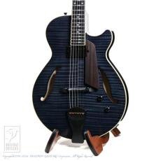 Kikuchi Guitars  MF15S (Trans Black)