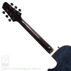 Kikuchi Guitars  MF15S (Trans Black)_7