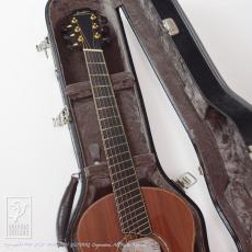 Lowden Wee Lowden Fanfret WL-35 FF IR/SRW_8