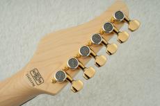 SCHECTER SD-2-24-AS-VTR-FM -Blonde w/Gold Parts- #S2602098 【限定生産モデル】_10