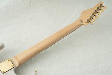 SCHECTER SD-2-24-AS-VTR-FM -Blonde w/Gold Parts- #S2602122 【限定生産モデル】_9
