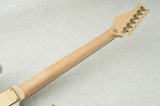 SCHECTER SD-2-24-AS-VTR-FM -Blonde w/Gold Parts- #S2602123 【限定生産モデル】_9