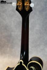 Kentucky KM-855(2010年代)_8